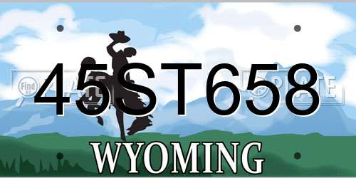 45ST658 Wyoming License Plate
