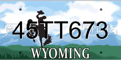 45TT673 Wyoming License Plate
