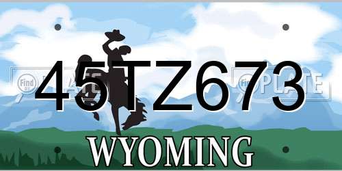 45TZ673 Wyoming License Plate