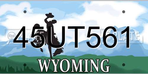 45UT561 Wyoming License Plate