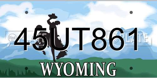 45UT861 Wyoming License Plate