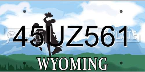 45UZ561 Wyoming License Plate