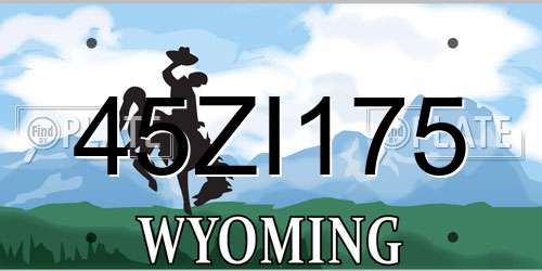 45ZI175 Wyoming License Plate
