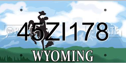45ZI178 Wyoming License Plate