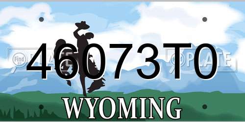 46073T0 Wyoming License Plate
