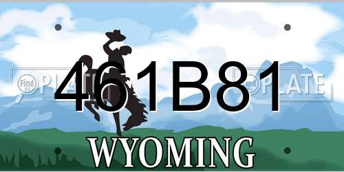 461B81 Wyoming License Plate