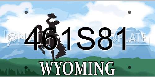 461S81 Wyoming License Plate