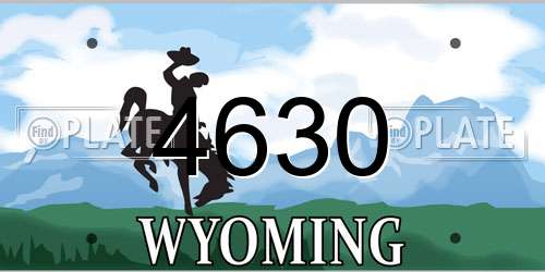 4630 Wyoming License Plate