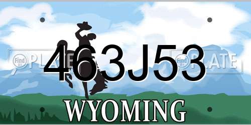 463J53 Wyoming License Plate