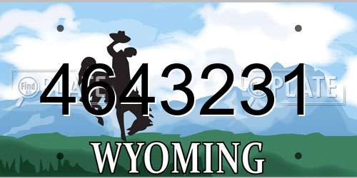 4643231 Wyoming License Plate