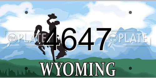 4647 Wyoming License Plate