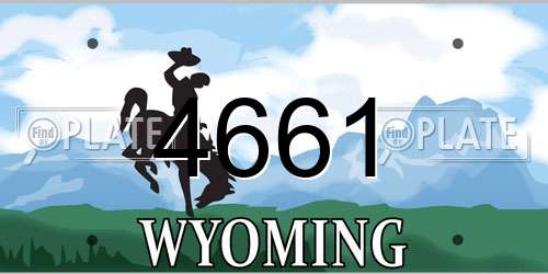 4661 Wyoming License Plate