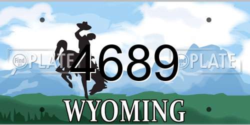 4689 Wyoming License Plate