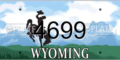 4699 Wyoming License Plate