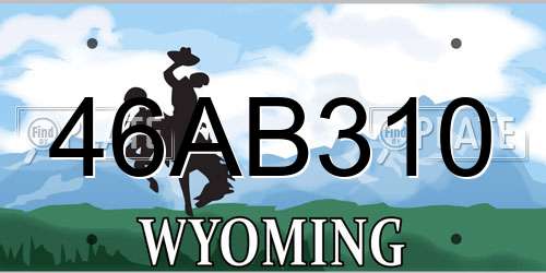 46AB310 Wyoming License Plate