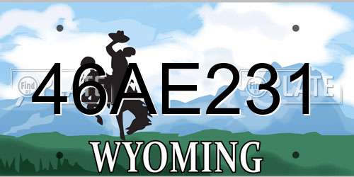46AE231 Wyoming License Plate