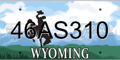 46AS310 Wyoming License Plate