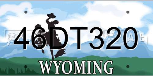 46DT320 Wyoming License Plate