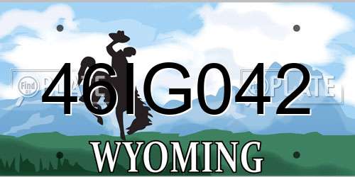 46IG042 Wyoming License Plate