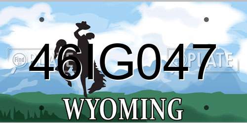 46IG047 Wyoming License Plate
