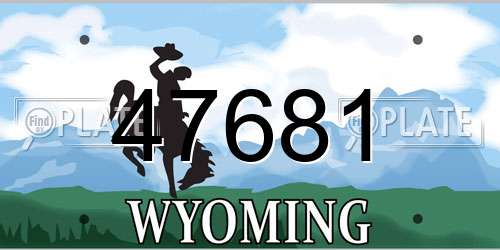 47681 Wyoming License Plate