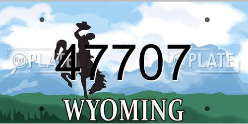 47707 Wyoming License Plate