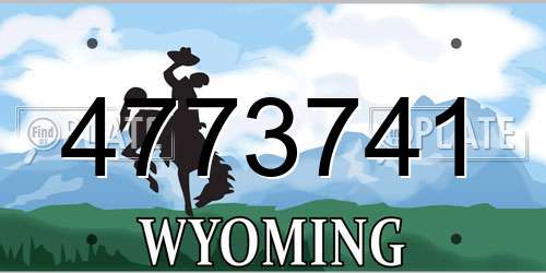 4773741 Wyoming License Plate