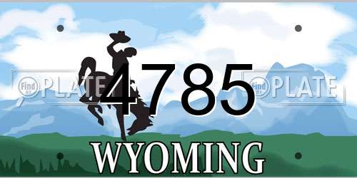 4785 Wyoming License Plate
