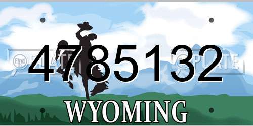 4785132 Wyoming License Plate