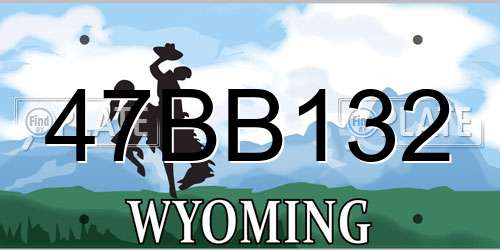 47BB132 Wyoming License Plate