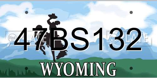 47BS132 Wyoming License Plate