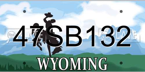 47SB132 Wyoming License Plate