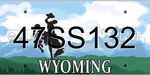 47SS132 Wyoming License Plate