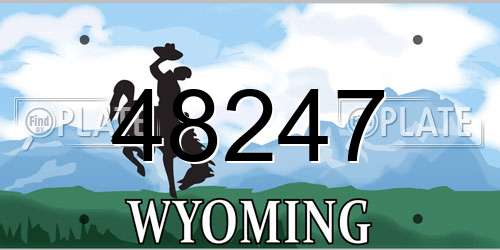48247 Wyoming License Plate