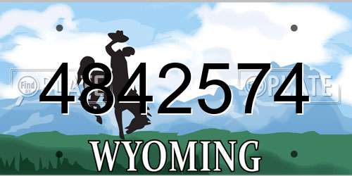 4842574 Wyoming License Plate