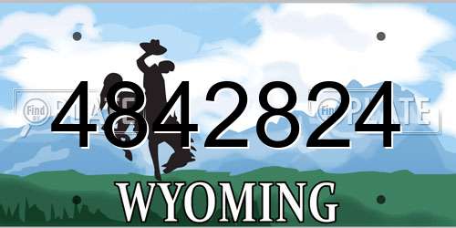 4842824 Wyoming License Plate
