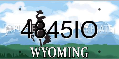 4845IO Wyoming License Plate