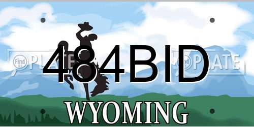 484BID Wyoming License Plate