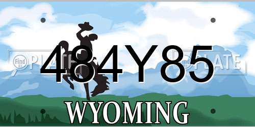 484Y85 Wyoming License Plate