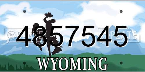 4857545 Wyoming License Plate