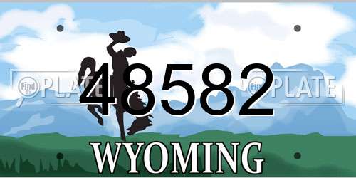48582 Wyoming License Plate
