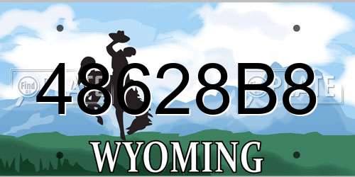 48628B8 Wyoming License Plate
