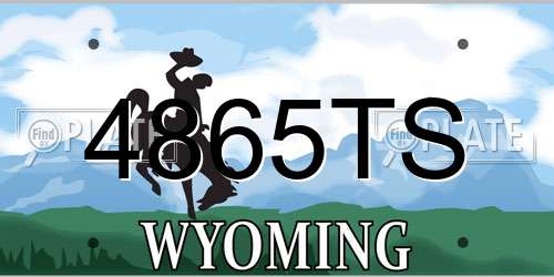 4865TS Wyoming License Plate
