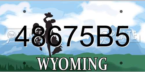 48675B5 Wyoming License Plate