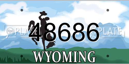 48686 Wyoming License Plate