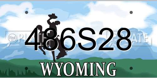 486S28 Wyoming License Plate