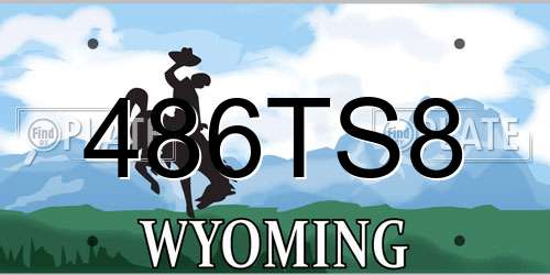 486TS8 Wyoming License Plate
