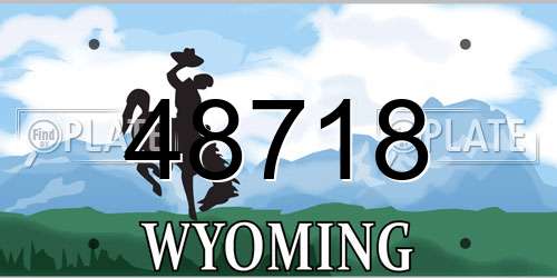 48718 Wyoming License Plate