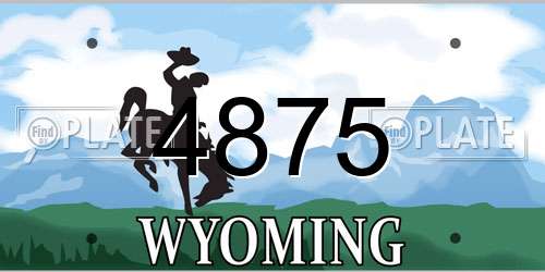 4875 Wyoming License Plate