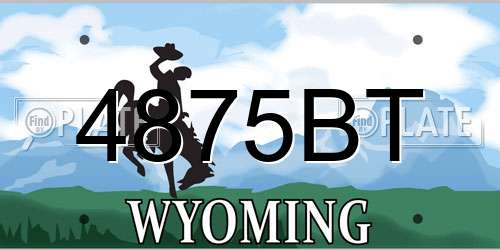 4875BT Wyoming License Plate
